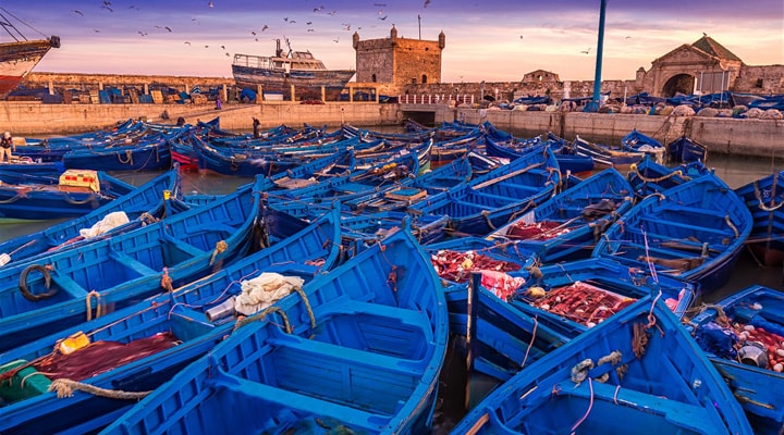 Excursión a Essaouira (Costa Atlántica)